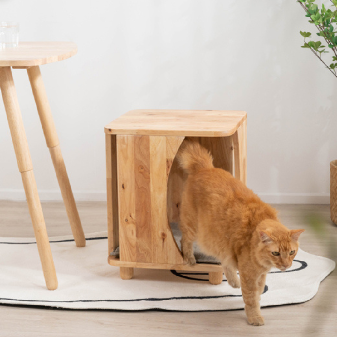 自然木語 寵物木凳