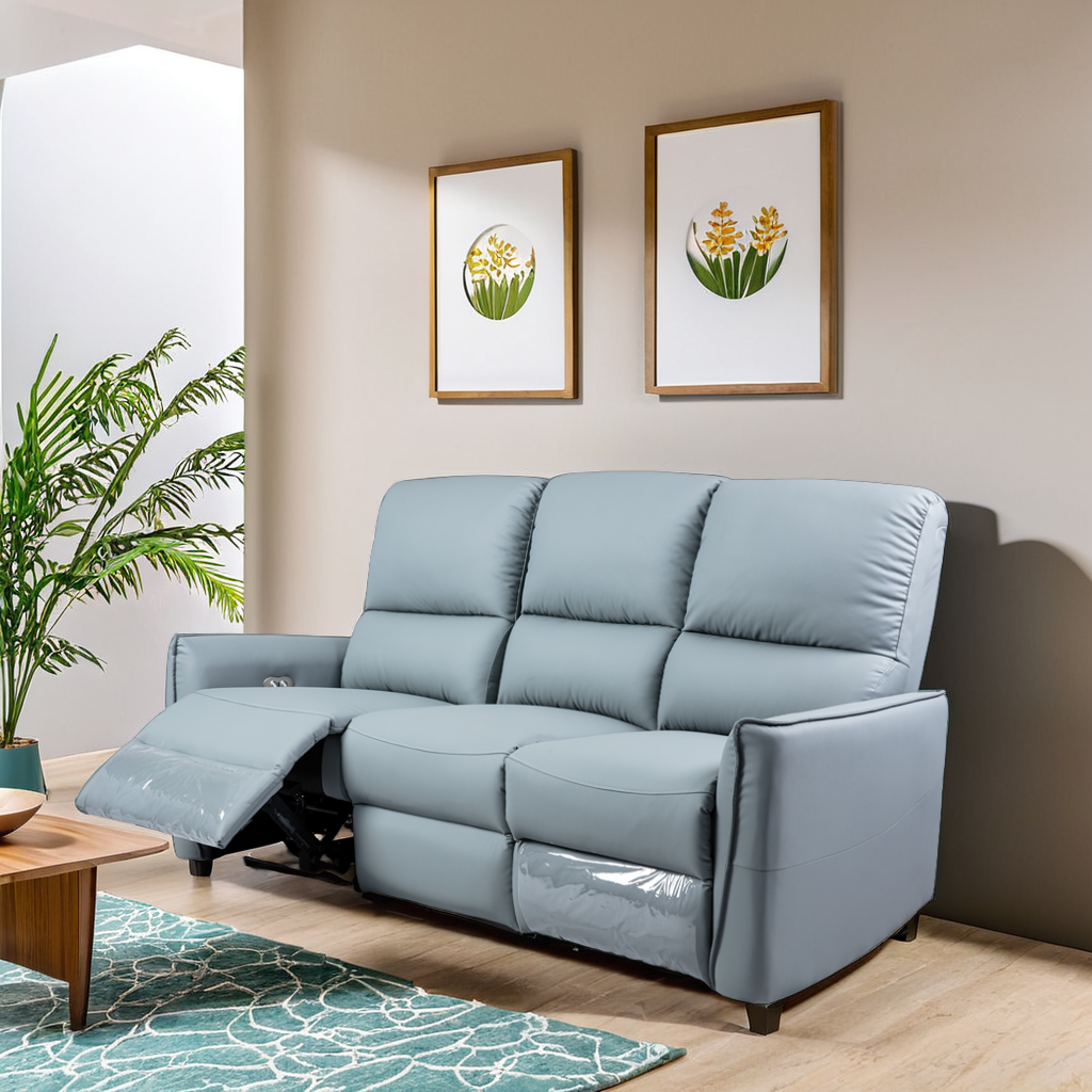 018-SOFA-S-2113A#2.5S2R-01