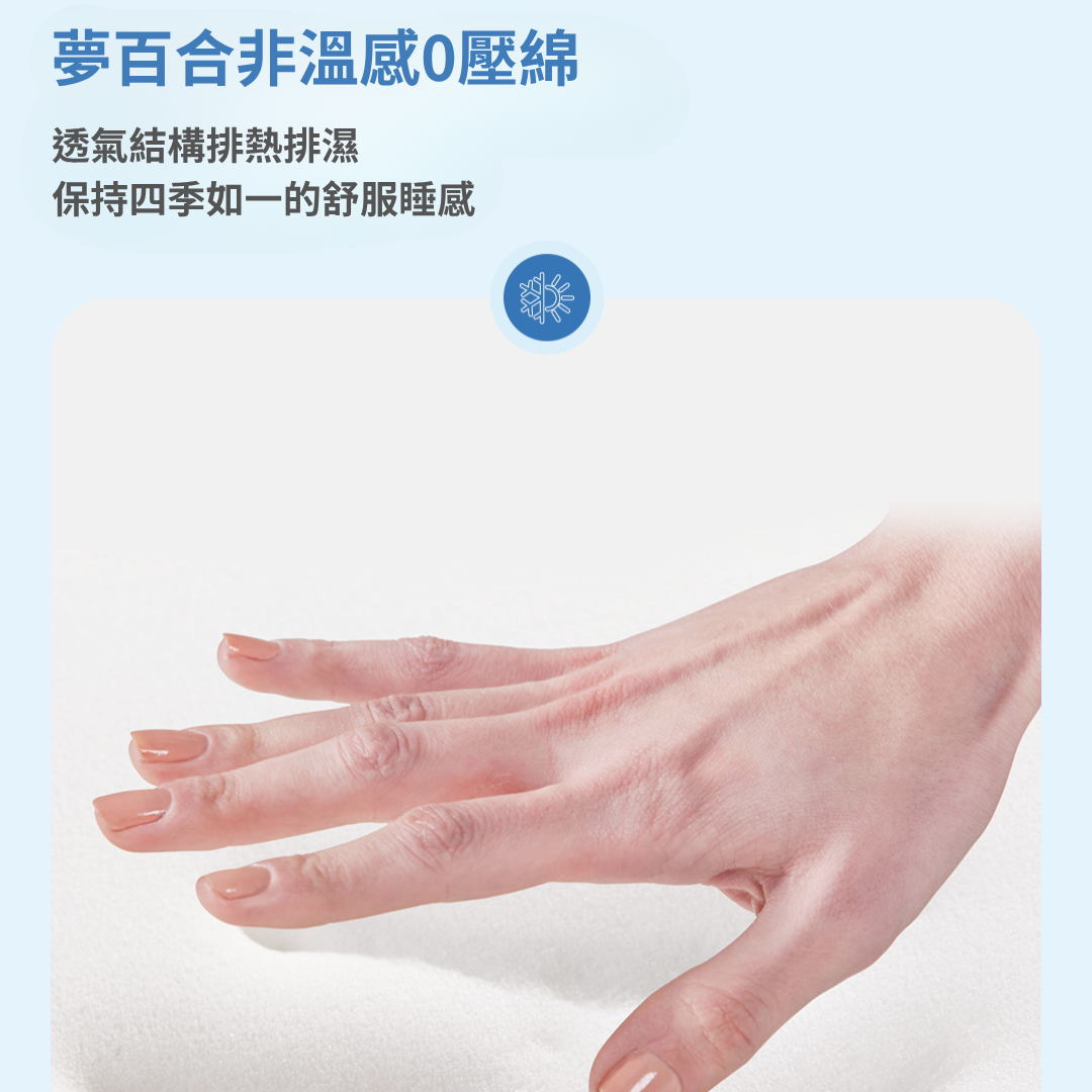 曲姿凝露枕 GaC Mall