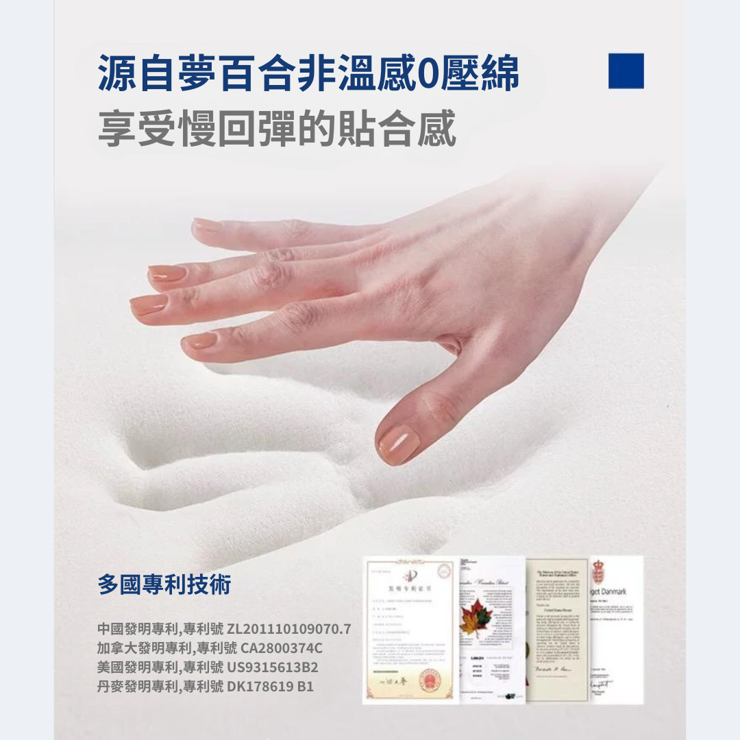 曲姿蝶型枕 GaC Mall