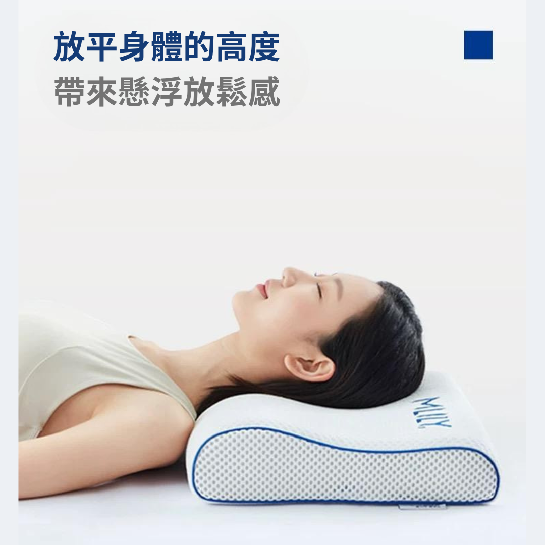 護頸枕 (L) GaC Mall
