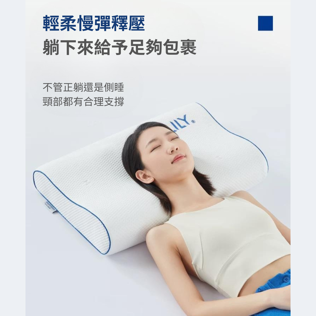 護頸枕 (L) GaC Mall