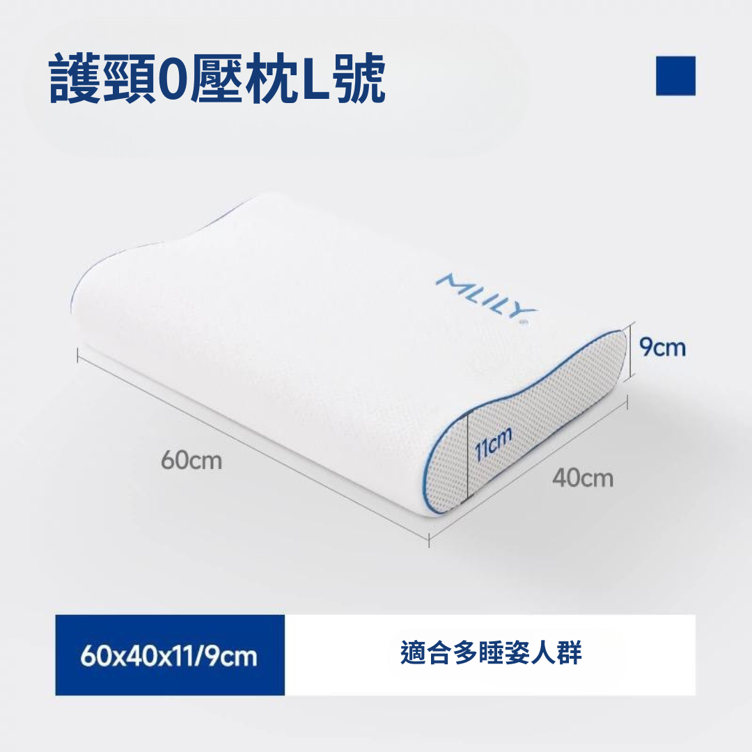 護頸枕 (L)